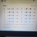 샐러디대구 이미지