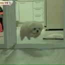 신남 네이버블로그