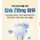 진온누리약국 이미지