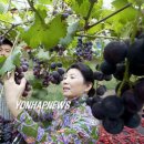 김재훈농장 이미지