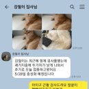 라온캐터리 이미지