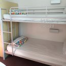 하버 | 시드니 호스텔 추천 하버 YHA 후기 오페라하우스뷰 루프탑