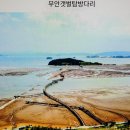 무안생태갯벌사업소 | 시니어와함께 무안황토갯벌랜드 힐링여행