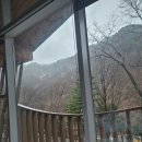 183 | [진안여행]진안숙소 추천 국립운장산자연휴양림 부엉이객실 후기