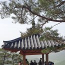 순창 용궐산/채계산 출렁다리/남원 광한루원 이미지