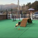 투독플레이스펜션
