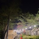 오다109 이미지