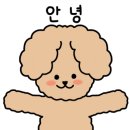 컴포즈커피강원 이미지