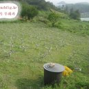 자연 농원 이미지