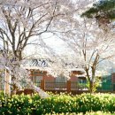 거북이마을 이미지