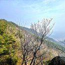 영주 용암산 이미지