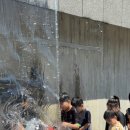 국가대표 SH 태권도장 이미지