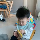 착한몬테소리어린이집 | [육아용품] 콕콕콕 사운드벽보 15개월 아기 놀이 후기