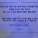 웰리스 복싱클럽 이미지