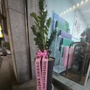 신기의료기 하단점 이미지