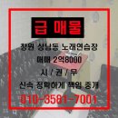 꽃 노래연습장 이미지
