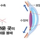 으뜸플러스안경 서울금천점 이미지