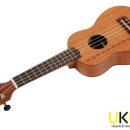 플레이 우쿨렐레 이미지