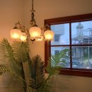 동행 in 협재 이미지