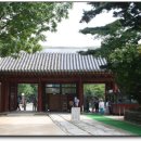 신위 카카오 검색결과