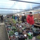 두식농원 이미지