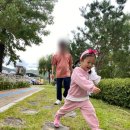 박수근 | 속초여행 양구 박수근 미술관