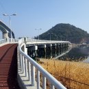 대항 마을회관? Daum카페