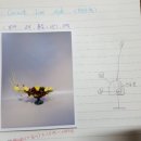 일상 속 생활 꽃꽂이 이미지