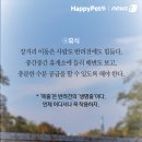 펫드라이브 이미지