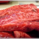 축협횡성한우프라자 이미지