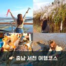 새암물왕코다리 | 충남 11월 서천여행코스 먹거리 1박2일 귀어귀촌 팸투어