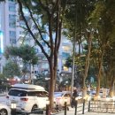 샵테라스 이미지