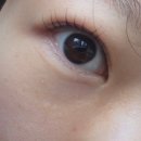 가벨라뷰티 | 제주시청 속눈썹펌하기 좋은 가벨라뷰티 속눈썹펌 후기