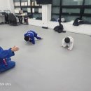 용인대 드림유도체육관 | [속초유도] 유도 입문자 주목! 기초부터 탄탄하게 잡아주는 '용인대부흥유도체육관' 찐후기!! 🥋✨