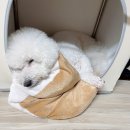 까망봉다리 이미지