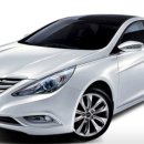 솔렌트카 이미지