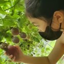 두리농장 이미지