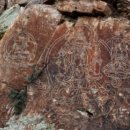 진용농장 이미지