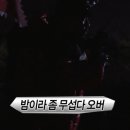 스타민박 이미지