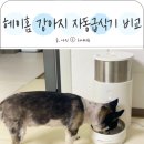 개인생활펫 | 헤이홈 강아지 자동급식기 비교 추천 스마트 펫 care 후기