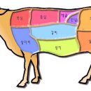 쇠고기 부위별 명칭과 잘알지 못하는 부위 이미지