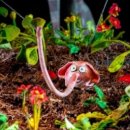 남한산성아트홀 소극장 이미지