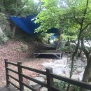 학동곶감마을 이미지