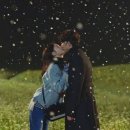 국제동물병원 이미지