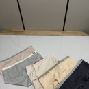 부자컴퍼니 | 삶의 질 수직 상승!☁️ 쪼임 없이 세상 편한 파인컴퍼니 데일리 순면 팬티 5종 솔직 후기