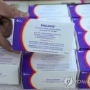 다음약국 디지털타임스