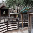 가가동물원 이미지