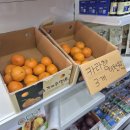 김도시스토어
