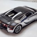 [1/18] Bugatti EB 16.4 Veyron Pur Sang 이미지