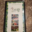 샤브향괴정점 이미지